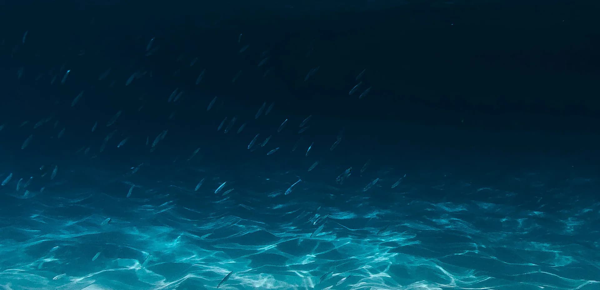 Clean water surface